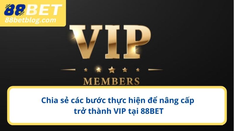 Chia sẻ các bước thực hiện để nâng cấp trở thành VIP tại 88BET